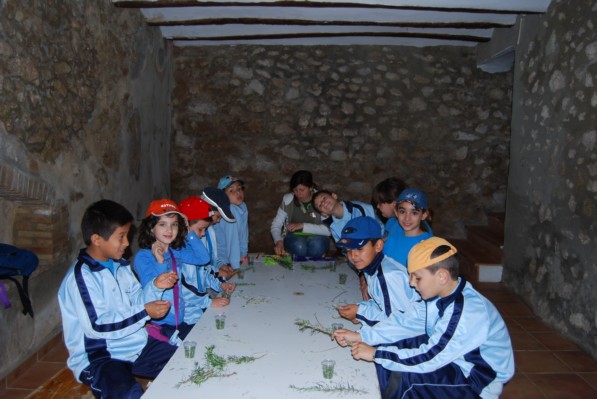 Abril-maig 10 106.JPG